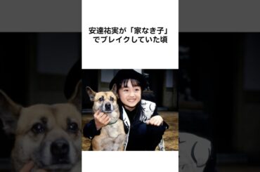 【絶縁状態😭】安達祐実の母エピソード #雑学 #shorts #芸能人 #安達祐実 #家なき子 #ハンバーグ師匠