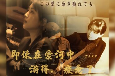 坂井泉水 LIVE 2004《この愛に泳ぎ疲れても》 fans mix clips