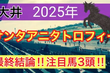 【サンタアニタトロフィー2025】蓮の地方競馬予想(最終結論)