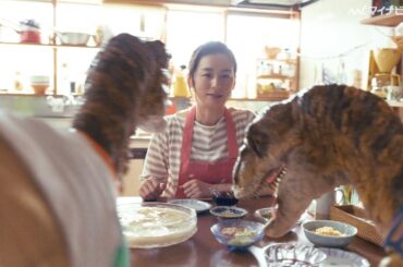 尾野真千子、恐竜達の母親に！？25年ぶりにカロリーメイトCMに出演 『カロリーメイト』新CM「怪獣たちとの夏休み」篇公開