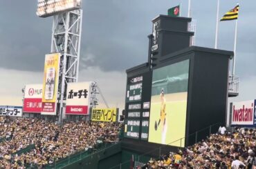 2025 7.11 阪神タイガース　ウルトラの夏　山本彩　スタメン発表