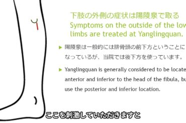 【コロナ後遺症、ワクチン接種後症候群】下肢外側の症状は陽陵泉で取る