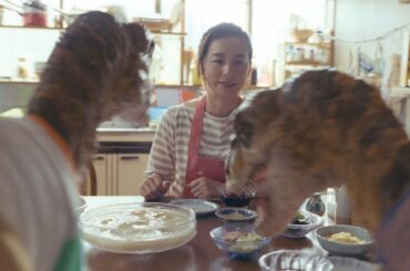 尾野真千子、“怪獣”の母親に！？　25年ぶりにカロリーメイトCM出演