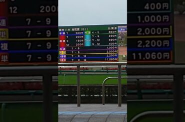 競馬 G1桜花賞の馬券結果です。枠連１点勝負