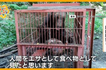 【警戒】｢人間を“エサ”として見た｣北海道・新聞配達員の男性がクマに襲われ死亡 専門家警鐘「再び起きる可能性」サン！シャインニュース】