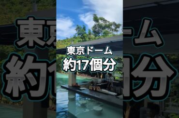 ボラカイで1日食べ尽くし！Fairways & Bluewaterグルメツアー🍽️ #旅行 #フィリピン #グルメ #Fairways&Bluewater #プカビーチ #ホワイトビーチ #ボラカイ