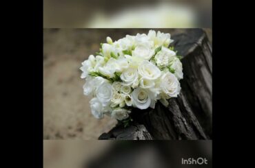 時をかける少女(元歌:原田知世さん)／ひろみ