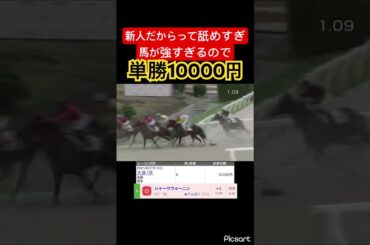 【美味しすぎる】馬は強いのに新人だからって軽視されてこのオッズは美味しすぎるので単勝10000円賭けてみた結果… #競馬 #競馬予想 #jra #地方競馬 #ウマ娘  #ギャンブル #武豊