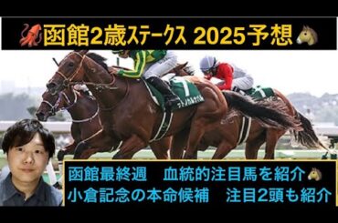 🦑函館2歳S 2025予想🦑