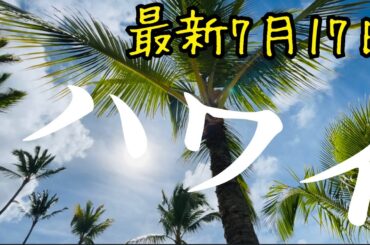 ハワイ最新【7/17(木)】ロコビーチ家族３人・どこでもプライベートツアー
