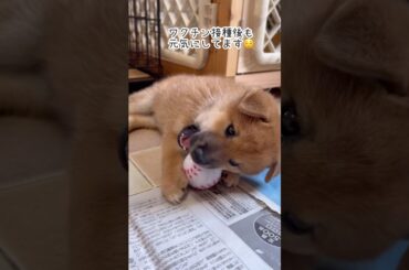 ワクチン行って来ました✨