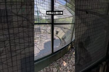 ☆名越切通コース❻ｓ・コースの最後の披露山公園に来ています。披露山の頂上にあり、逗子市全景、江の島、相模湾の海岸線、富士山などを一望できる景勝です。園内ではニホンザルや水鳥などを飼育しています。