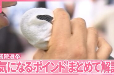 【政党フカボリSP】各党の政策・課題・情勢…参院選の“気になるポイント”まとめて解説