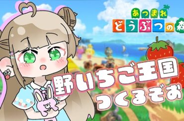 【あつまれどうぶつの森】星のかけらを集めるよ⭐#朝活【野口ひめか】