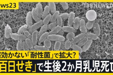 「百日せき」3週連続で患者数過去最多　生後2か月の乳児が死亡　薬が効かない「耐性菌」で感染拡大か【news23】｜TBS NEWS DIG