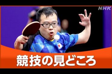 パラリンピック 卓球【日程・日本代表・ルール】