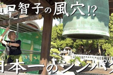 豆島　五十四番札所宝生院 樹齢1600年のシンパク