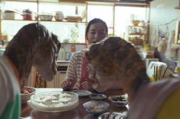 カロリーメイト CM｜「怪獣たちとの夏休み」篇15秒