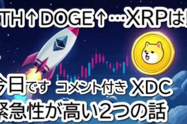 仮想通貨市場が急騰中！ETH25%↑DOGE35%↑｜XRPは次のターゲット？パウエル発言とEU協議の衝撃