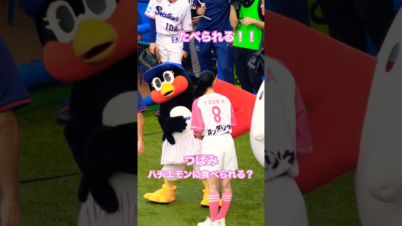 つばみ　ハチエモンに食べられちゃう！？　#つばみ #つばみちゃん #ハチエモン #菅井友香 #swallows #ロンダリング