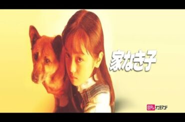 ドラマ『家なき子』1話～2話 🍀Ie Naki Ko (1994)🍀 Full HD Nocust #1080p