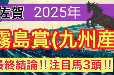 【霧島賞2025】蓮の地方競馬予想(最終結論)