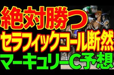 【マーキュリーC予想】クラウンプライドは絶対に来ない！今年こそなぁ！勝つのはセラフィックコール！なぜなら盛岡競馬場は地方の競馬場では超特殊だから！2025年マーキュリーカップ予想動画【競馬ゆっくり】