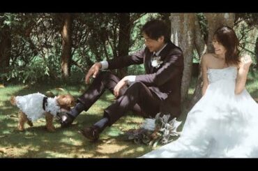 🍱愛妻弁当にキュン❤️吉田栄作（56）を虜にする内山理名（43）の“昔ながら手料理”が話題✨