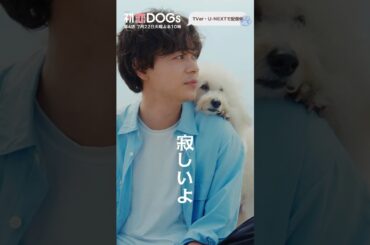 『#初恋DOGs』バイバイロッキー…🐶#清原果耶 #成田凌 #ナイヌ #ジンデヨン