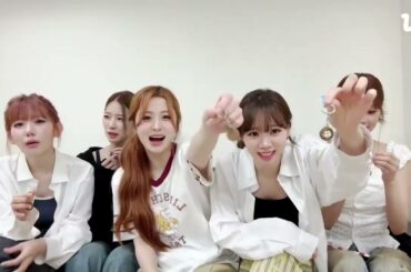 🌸🌸宮脇咲良 Sakura Live 'I was happy TAIPEI❤️/ 행복했어요 TAIPEI❤️'  weverse 200725