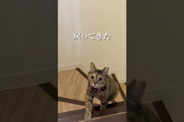 チャイさんの暮らし108。