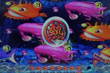 海物語AQUAwith吉木りさ99ver.T00011👍✍🙏