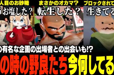 【VRChat】VRC仮想大賞出場者との出会いも!?過去に出会った強烈なポピ横の野良に久々に会いに行ったらまた新しい出会いがあったwww