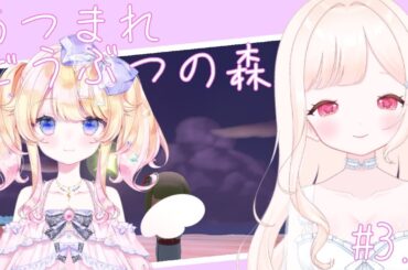 【あつまれ どうぶつの森】星の妖精と行く流星の夜【Vtuber/星野じゅり】