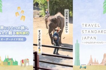 【大好評プラン】2025年 コムローイツアー 販売開始！！｜トラベルスタンダードジャパン