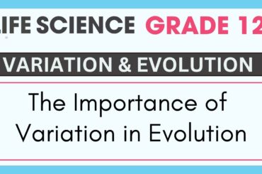 生命科学 12年生 | 進化における変異の重要性