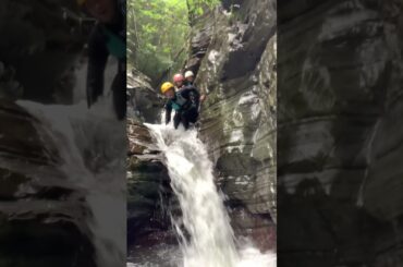 【OKINAWA JAPAN】のんびりゆっくり沖縄自然体験エコツアー！お子様連れのご家族や体力に自信のない方、のんびりゆっくり沖縄の自然が満喫！ #OKINAWA #JAPAN #adventure