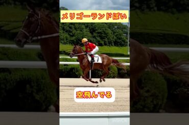 #13りーちゃんソエからの復帰戦‼️結果はいかに、、#りーちゃん#タンタンリーライズ#競馬#佐賀競馬#NRA#TANTAN#realize#DREAM#espoir#夢#希望#叶う#可愛い