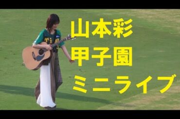 山本彩　甲子園ミニライブ（ウル虎の夏　イベント）　20240720