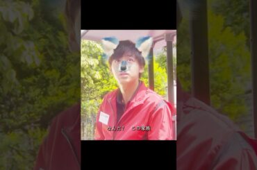 嘘つき少年です #高畑充希 #黑木瞳 #时任三郎 #竹内凉真