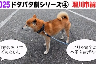 2025狂犬病予防注射会場のドタバタ劇④ 滑川市前編