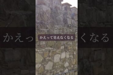 【星読み】手放すことで　見えるもの　　　　　　7月27日（日）今日の星読み #毎日投稿 #沖縄旅行 #相手の本音