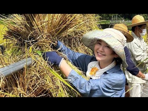 🌾🎤【南野陽子の新たな挑戦】米作り＆登山に夢中！「一粒も残せない」感動のライフスタイル公開✨