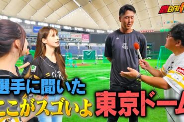 【ダレノガレ突撃】東京ドームの魅力と選手の素顔に迫る！