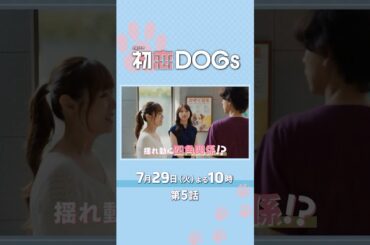 『#初恋DOGs』第5話 7/29(火) 揺れ動く四角関係!? 愛犬問題がついに決着!! #清原果耶 #成田凌 #ナイヌ