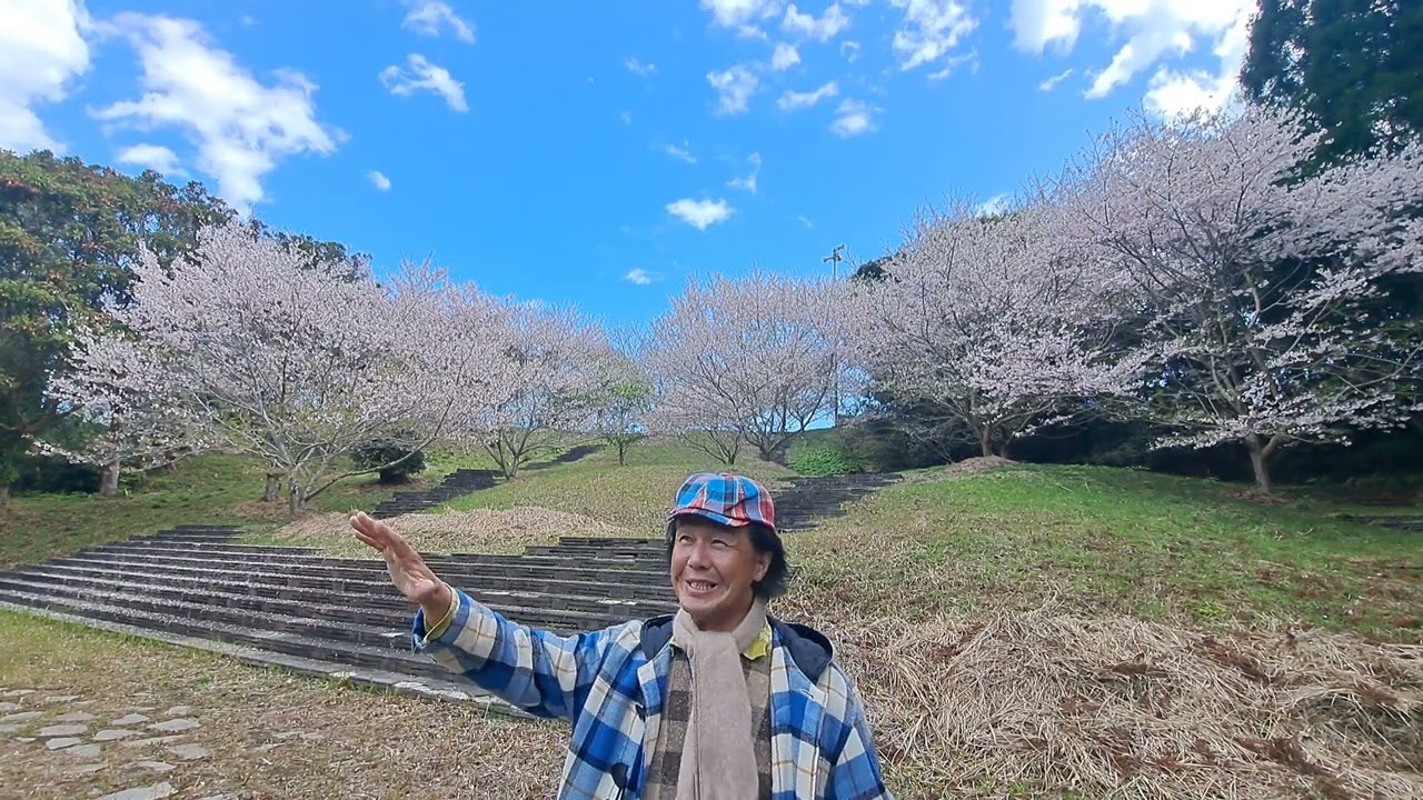 昭和のドラマ主題歌『川の向こうに』を桜の森で歌う❗#ドラマ主題歌 #昭和のドラマ #懐メロ #弘田三枝子 #昼ドラ #大空眞弓 #新倉博 #70年代歌謡曲 #想い出のメロディー #アカペラ #桜 #歌