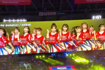 AKB48 鷹祭SUMMERBOOST  2025年7月26日