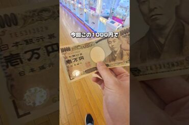 【 クレーンゲーム 】謎の橋渡し設定攻略？取り方教えます！？#クレーンゲーム#ufoキャッチャー #ゲームセンター
