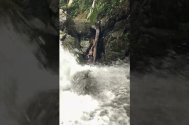 のんびりゆっくり沖縄自然体験エコツアー！お子様連れのご家族や体力に自信のない方、のんびりゆっくり沖縄の自然が満喫できるツアーをご用意しています！ #体験 #沖縄 #adventure