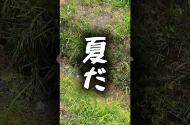 【柴咲コウ】少年時代